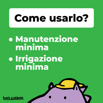 come usare festumix 5kg