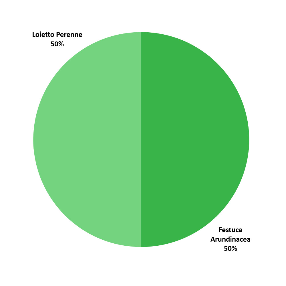 Composizione Rusticus Lawn