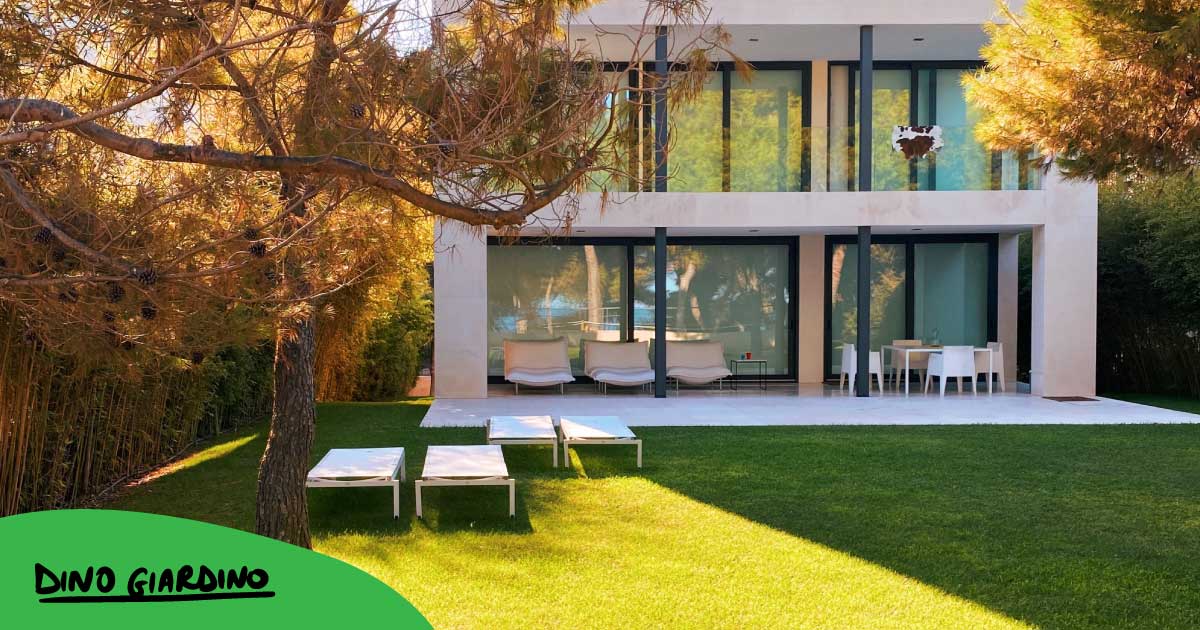 fasi preliminari per rigenerare giardino