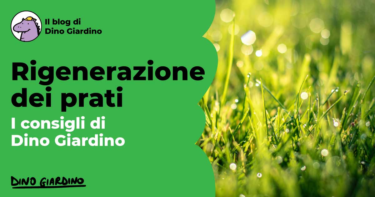 rigenerazioni dei prati