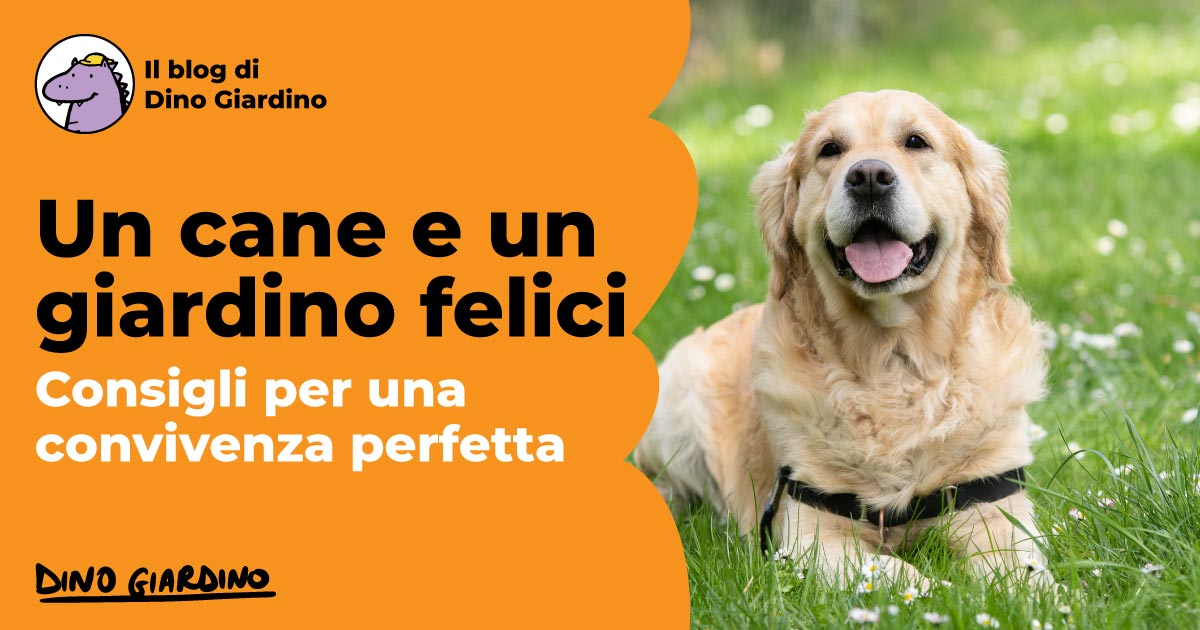 Copertina - Un cane e un giardino felici