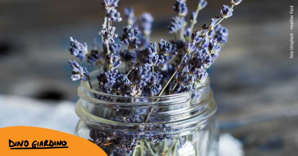 piccole fioriere per orto piante aromatiche
