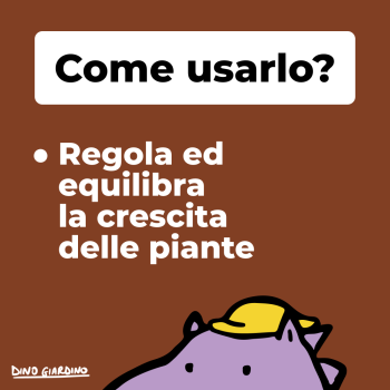 come usare amiprot 250ml