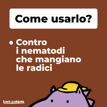 come usare nemaferti 1 litro