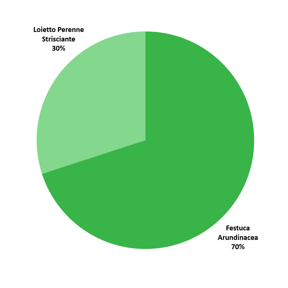 Composizione Naturfast