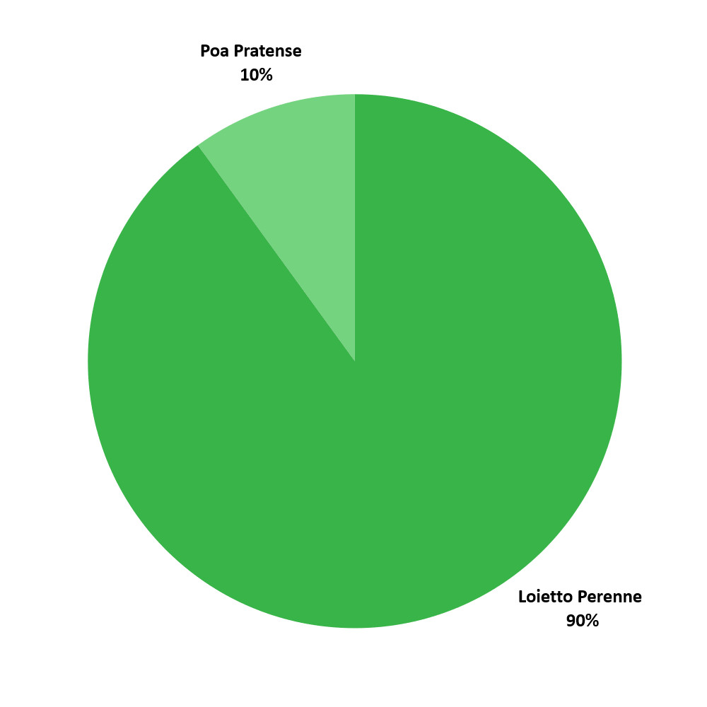 Composizione Rigenervit