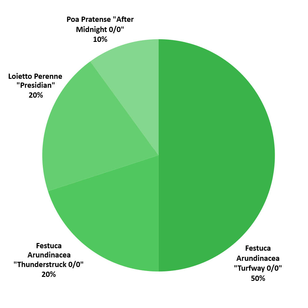 Composizione sementi Extreme Blue