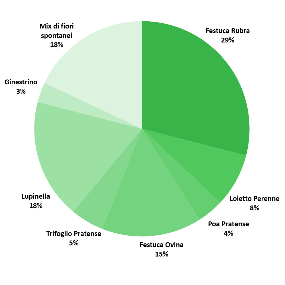 Composizione sementi Prato Fiorito