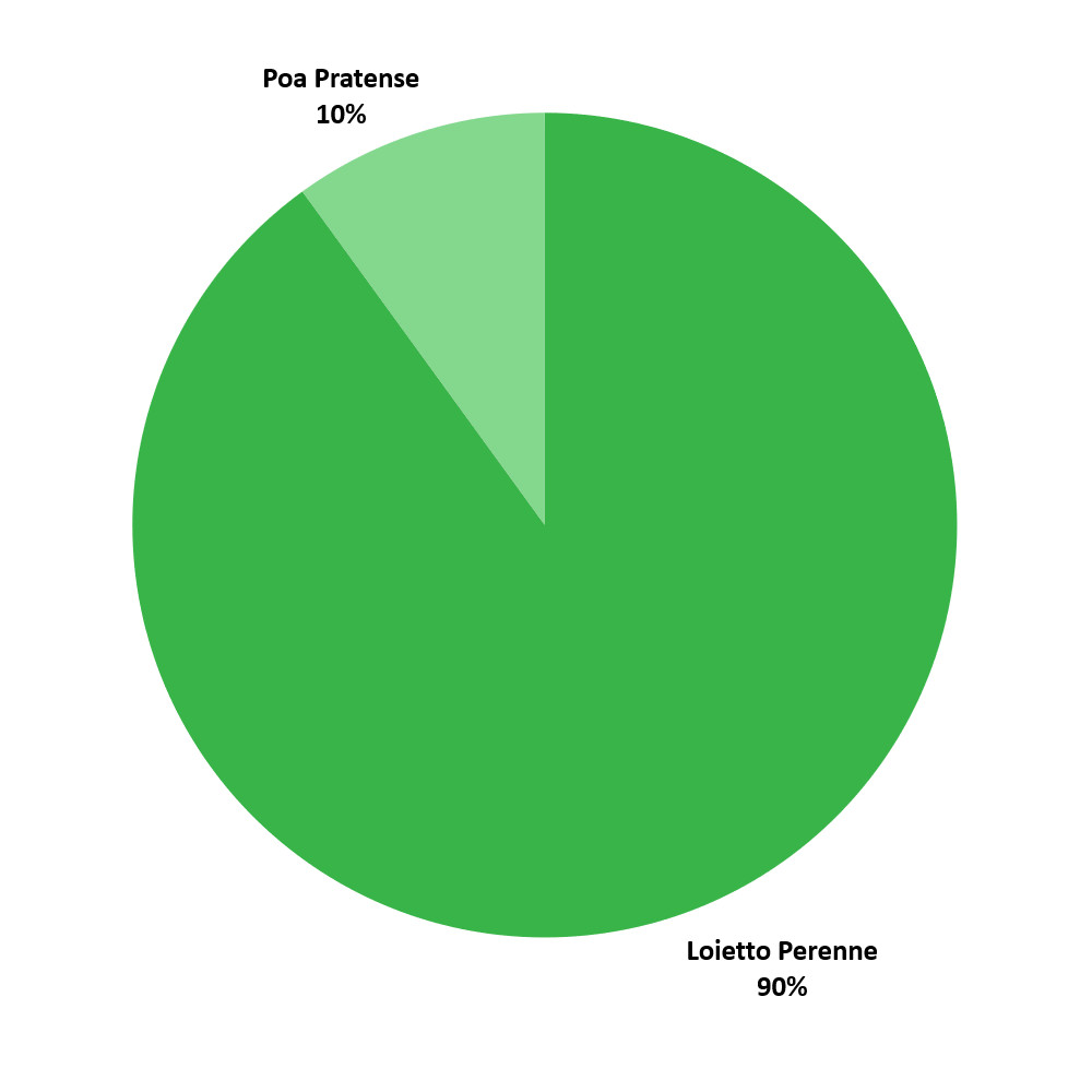 Composizione sementi Sport Padana