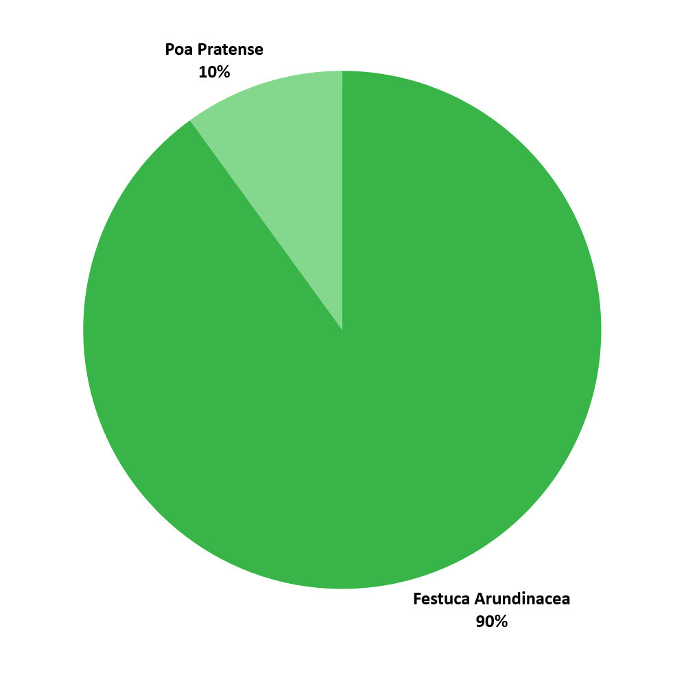 Composizione sementi Sporting Padana Sementi