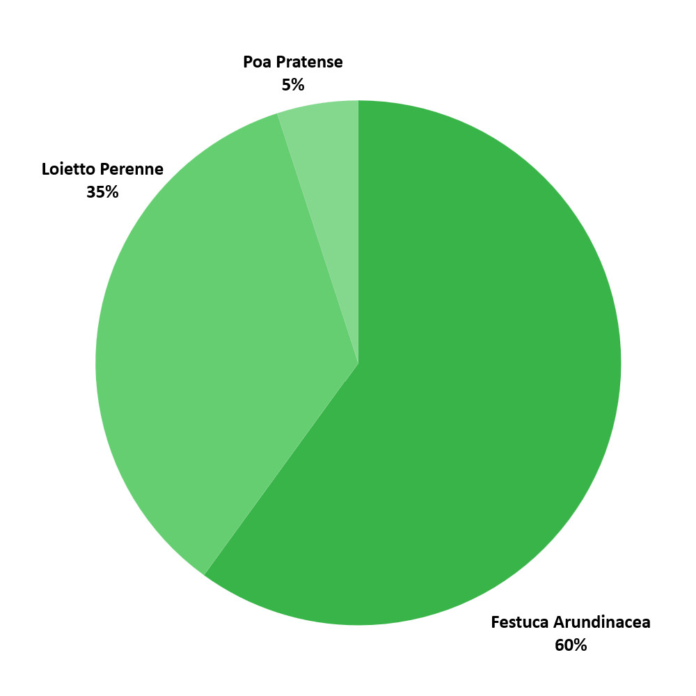 Composizione sementi Sun Seed Padana Sementi