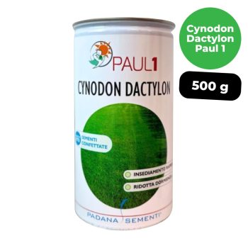 barattolo Cynodon Dactylon Paul 1