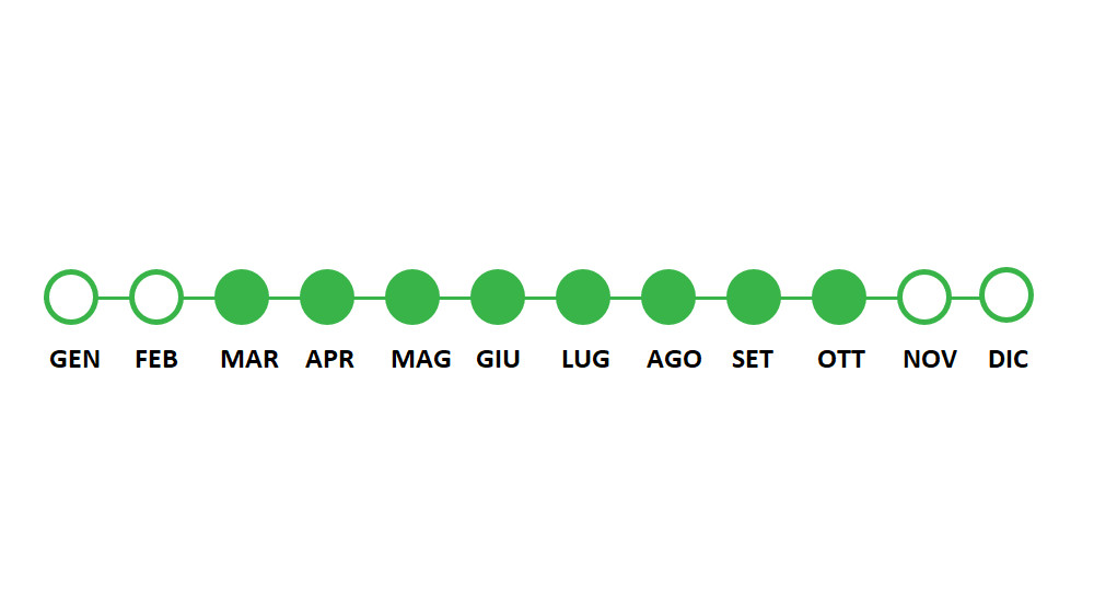 Periodo utilizzo Ferti Iron