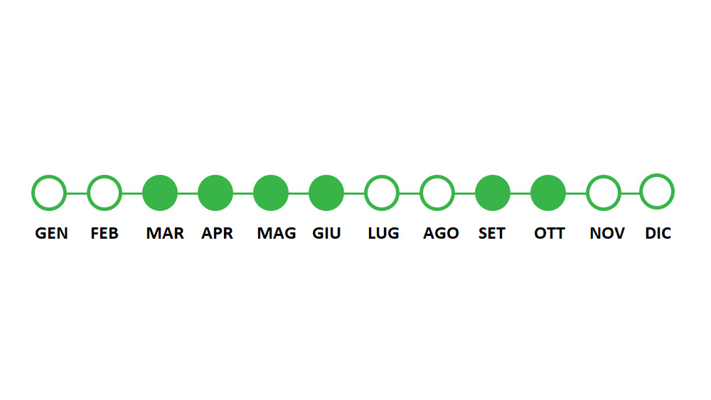 Periodo utilizzo Trifoglio Repens Nano