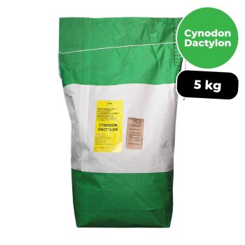 Cynodon Dactylon - Per prato a rapido insediamento