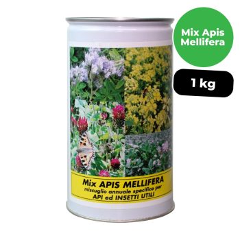 sementi giardino api apis mellifera padana sementi