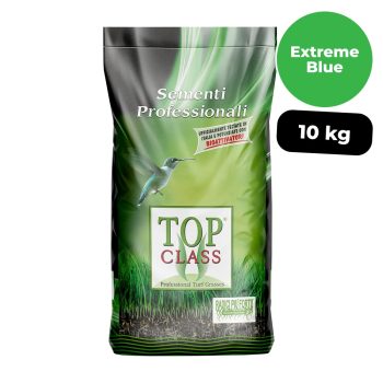 Extreme Blue - Prato a bassa manutenzione