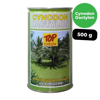 Cynodon Dactylon 500 gr - Per prato a rapido insediamento