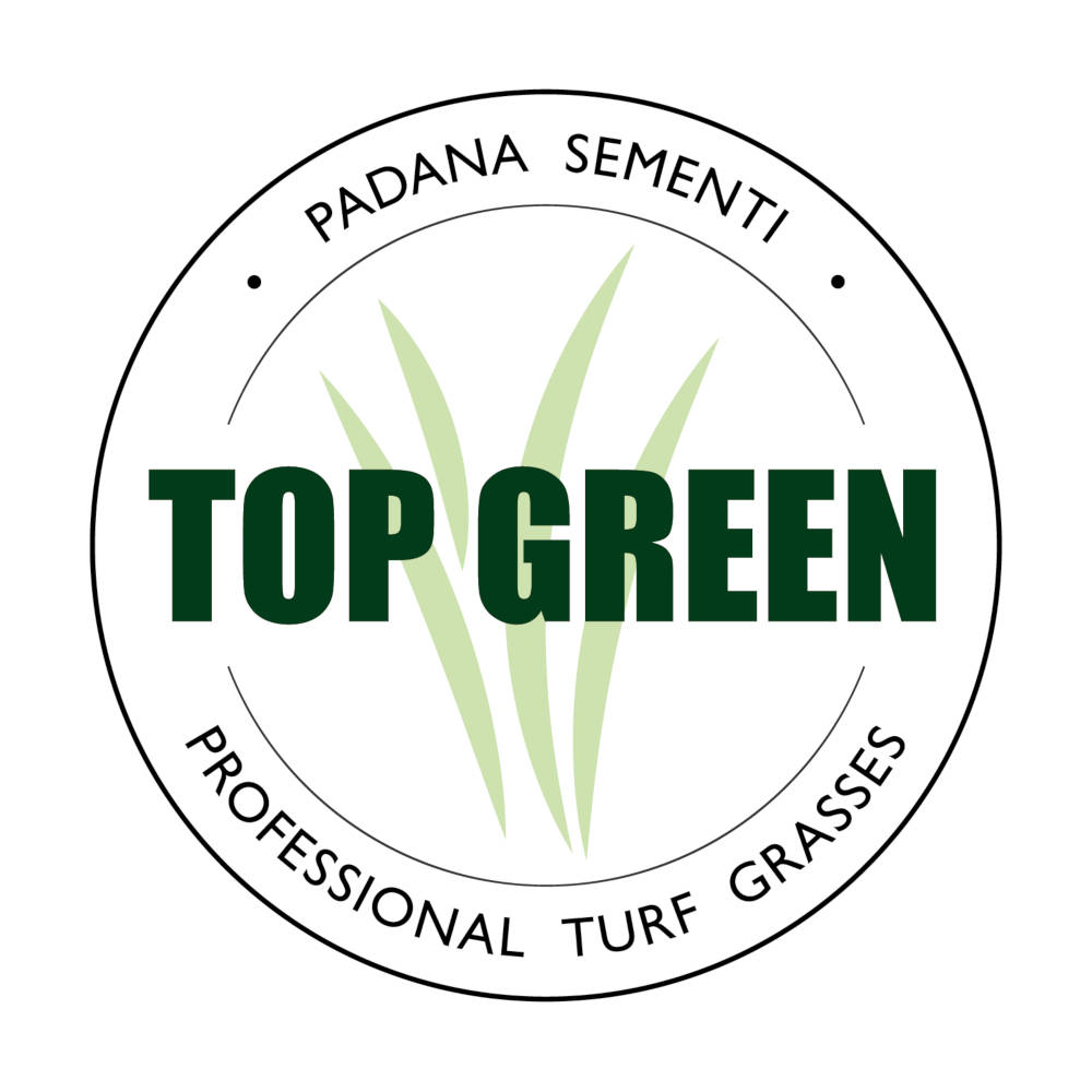 Logo Top Green