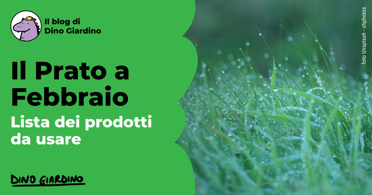 consigli prodotti prato febbraio