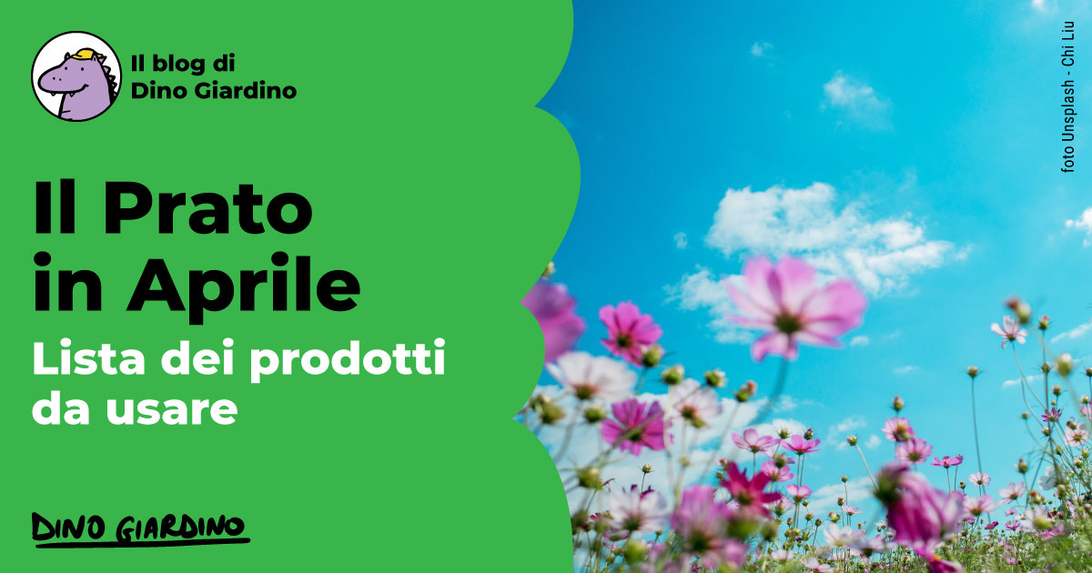 prato aprile