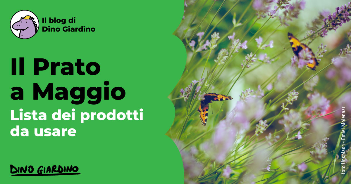 prato maggio prodotti consigliati