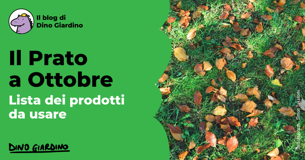 calendario prato ottobre 2023