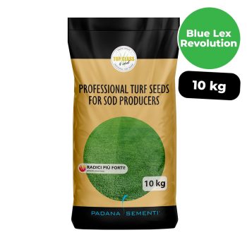 Blue Lex Revolution 10 kg