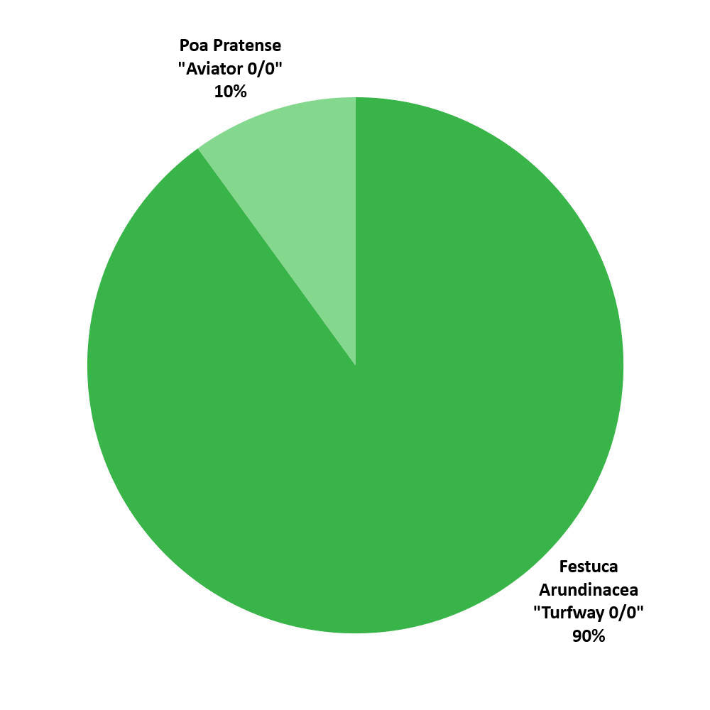 Composizione Blue Lex Revolution