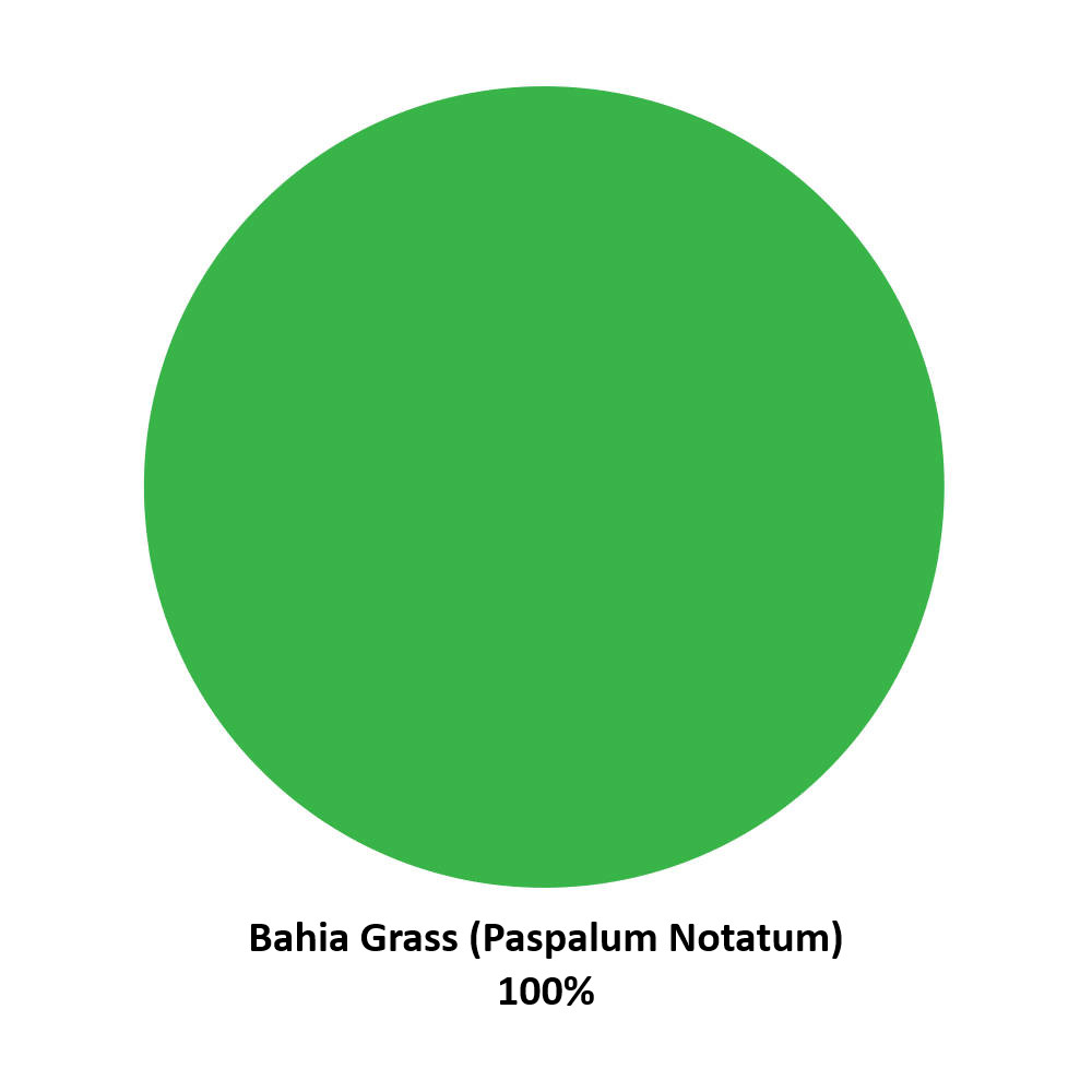 Composizione Paspalum Notatum Bahia Grass