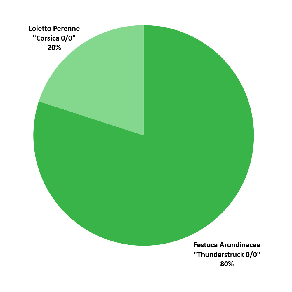 Composizione Special Sod
