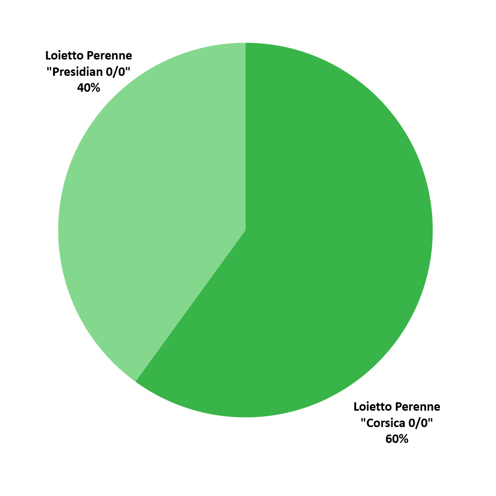 Composizione Sportfield Regeneration