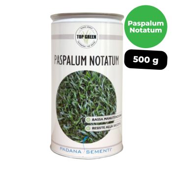 Paspalum Notatum