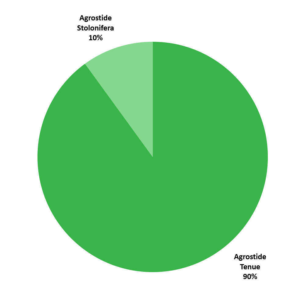 Composizione Agrostide Mix Highland