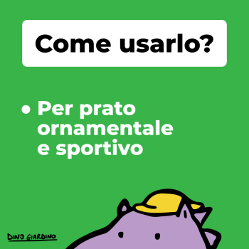 come usare poa pratense after midnight 5kg