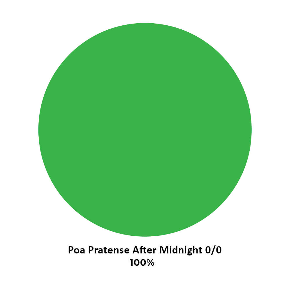 Composizione Poa Pratense After Midnight