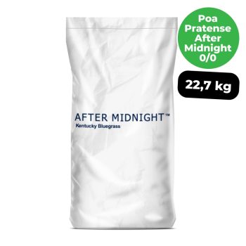 poa pratense after midnight 0/0 22,7kg