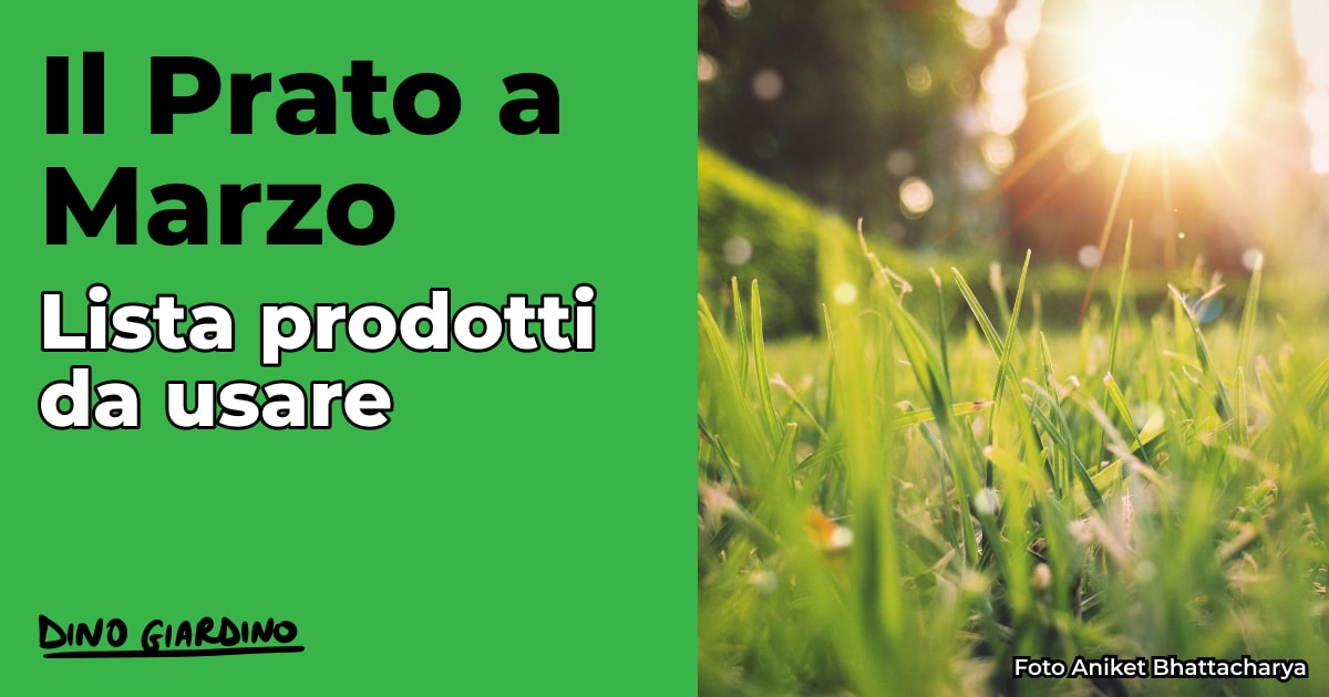 Calendario tappeto erboso marzo