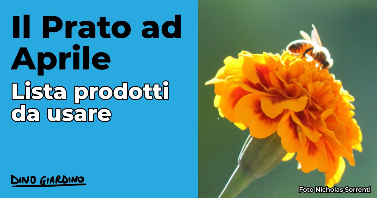 Calendario tappeto erboso aprile