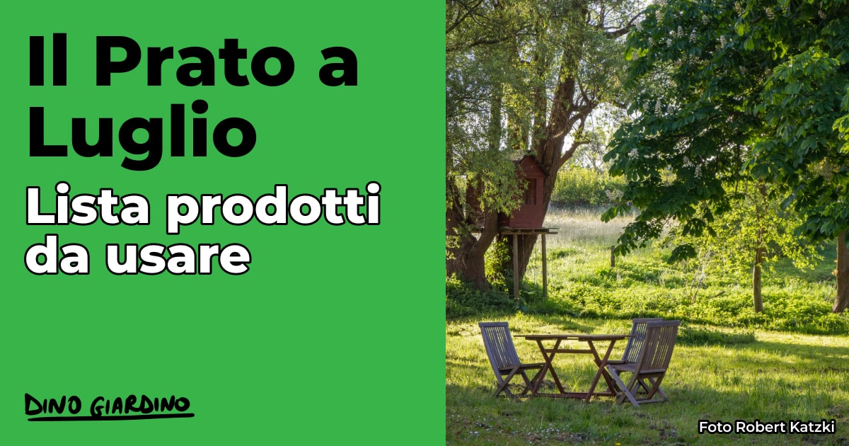 Calendario tappeto erboso luglio