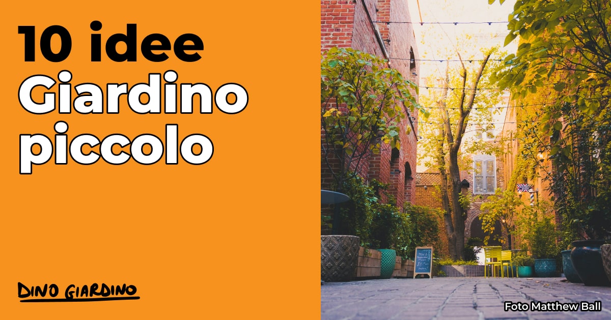 10 idee giardino piccolo