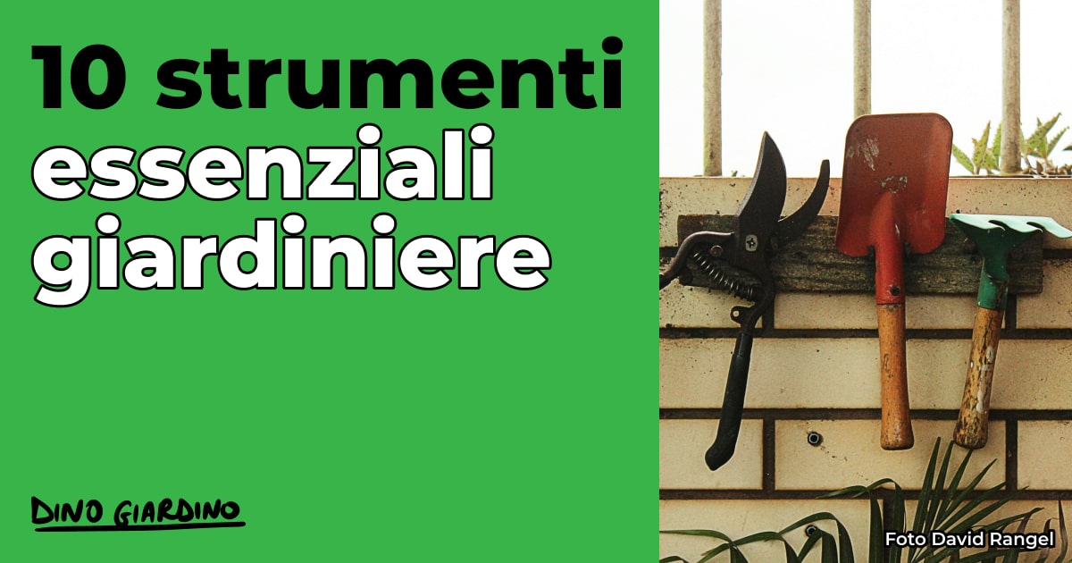 10 strumenti essenziali per giardiniere