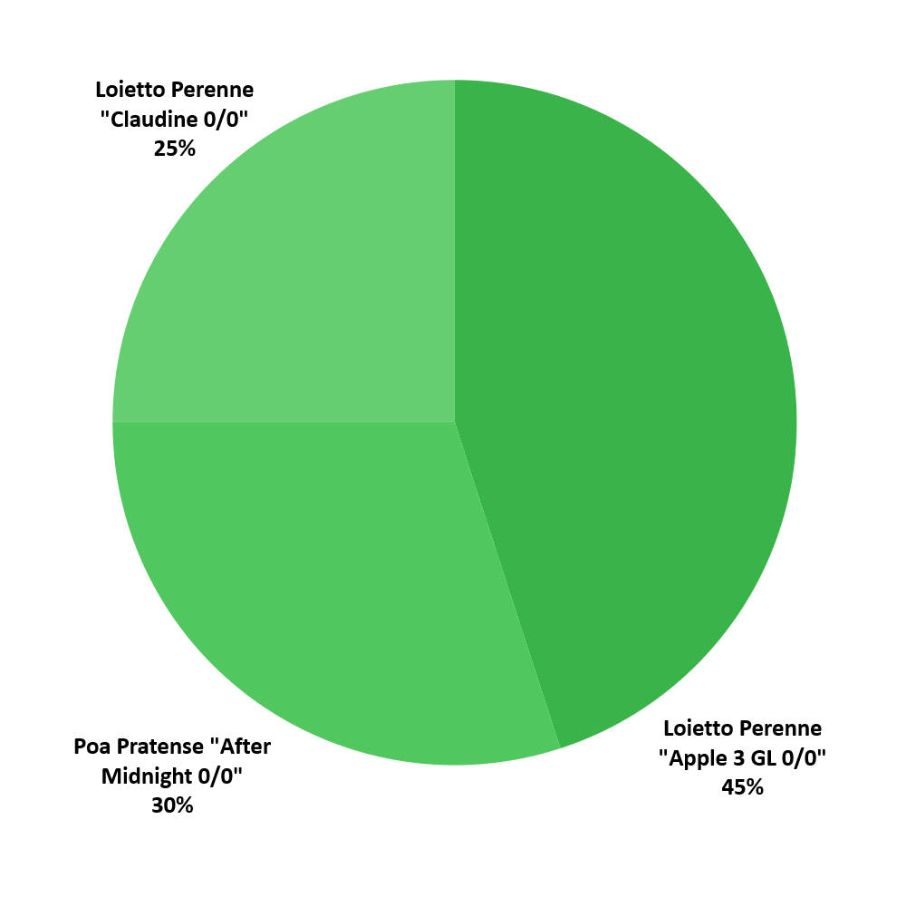 Composizione Forte New Plus