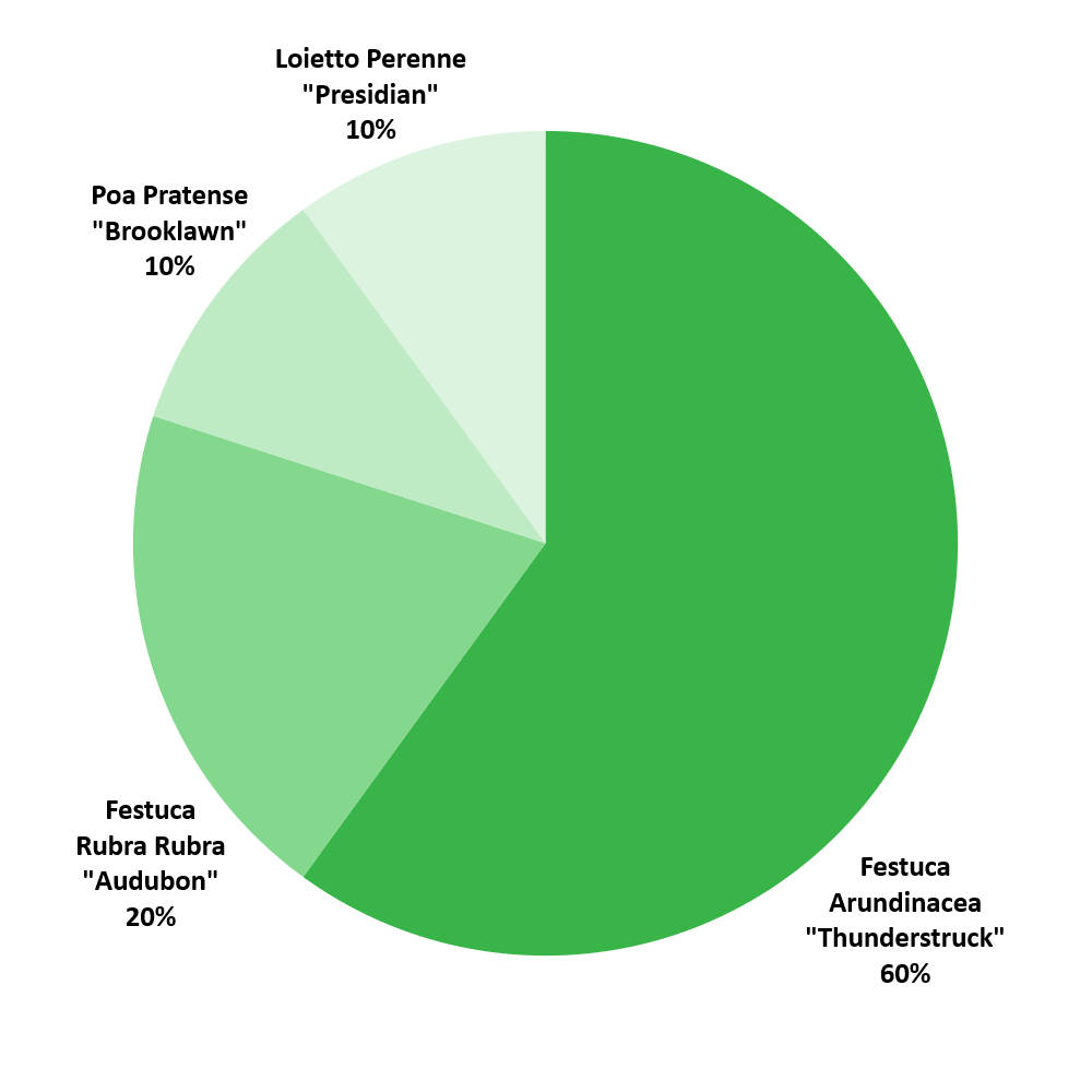 Composizione sementi Emme Padana Sementi
