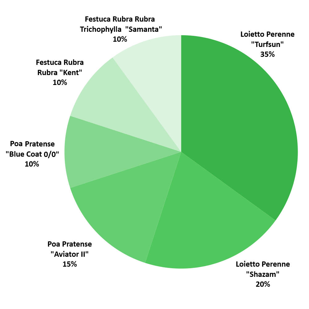 Composizione Esse Padana Sementi