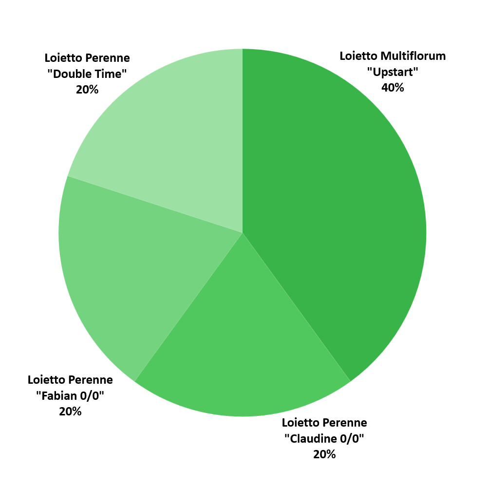 Composizione Winter Sportfield Regeneration