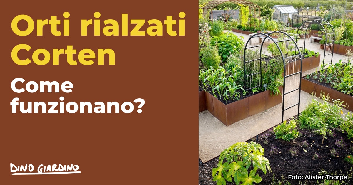 orti rialzati vasche corten come funzionano