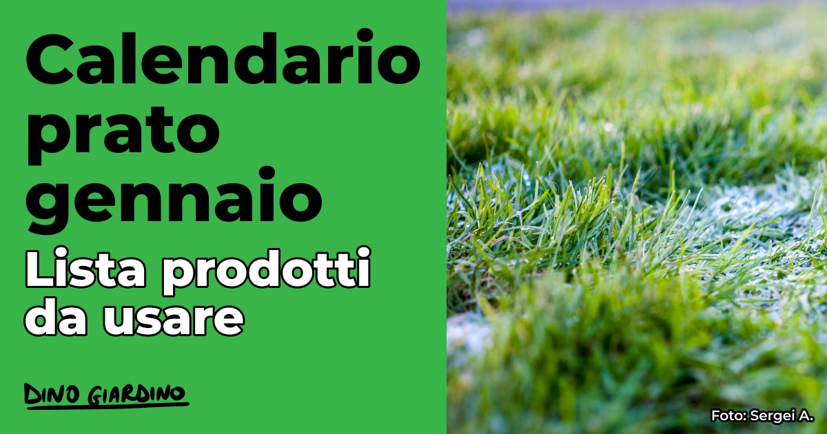 calendario tappeto erboso gennaio