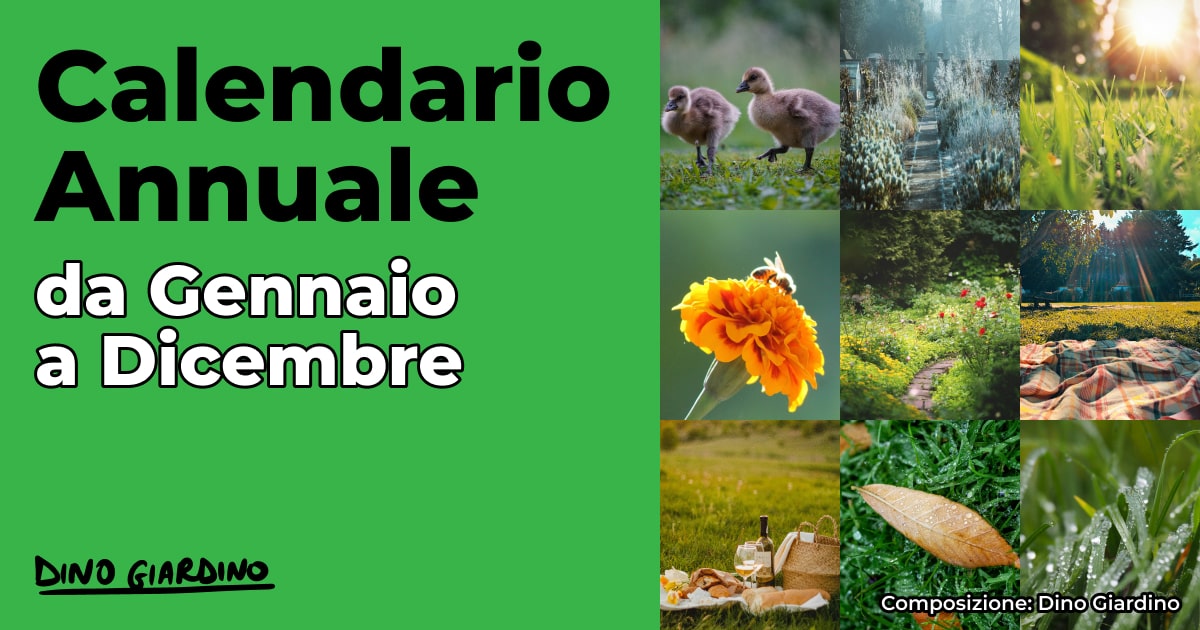 calendario tappeto erboso annuale