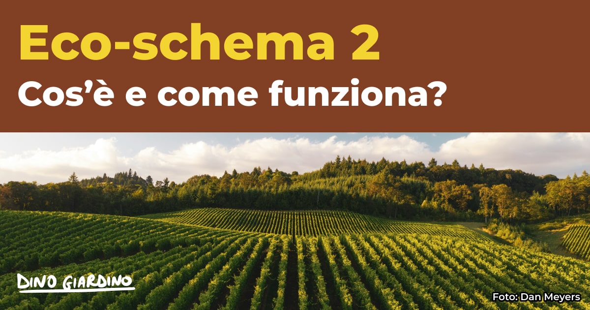 eco schema 2 inerbimento vigneti frutteti